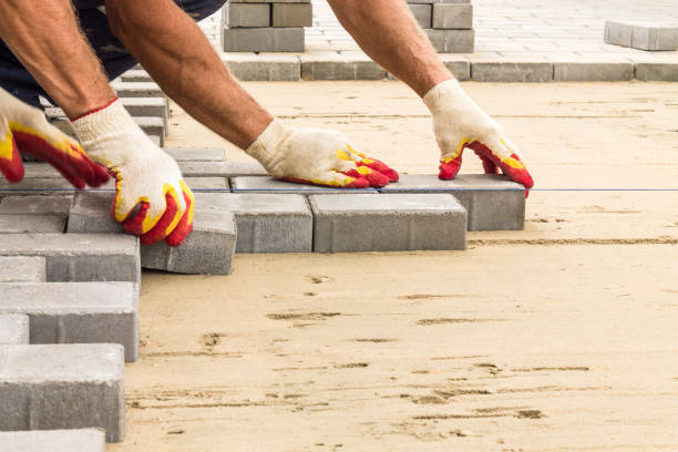 Best Driveway Paving Contractor  in Westvle, IL